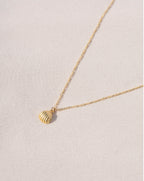 Colier COQUILLAGE