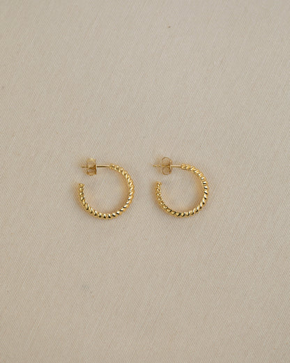 Cercei FRANCES - Stora