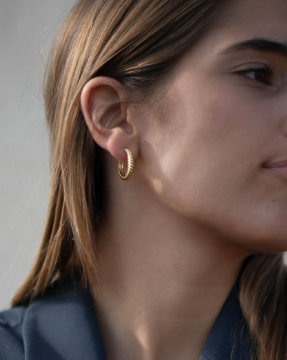 Cercei FRANCES - Stora